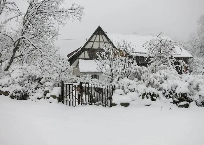 Holiday home With 1 Bedroom Badenweiler